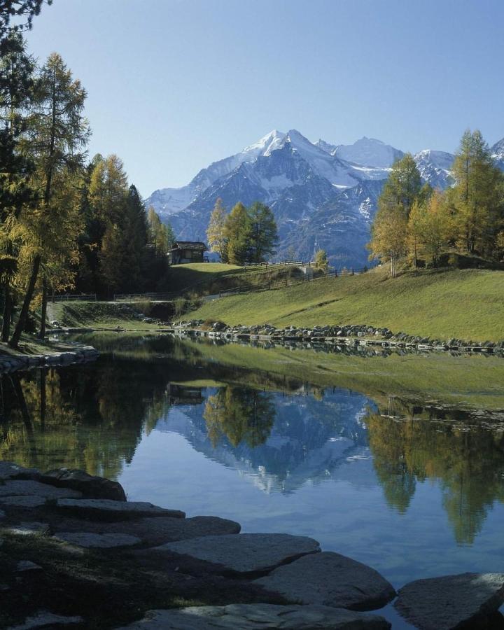 Ferienwohnung Edelweiss Грехен Екстер'єр фото